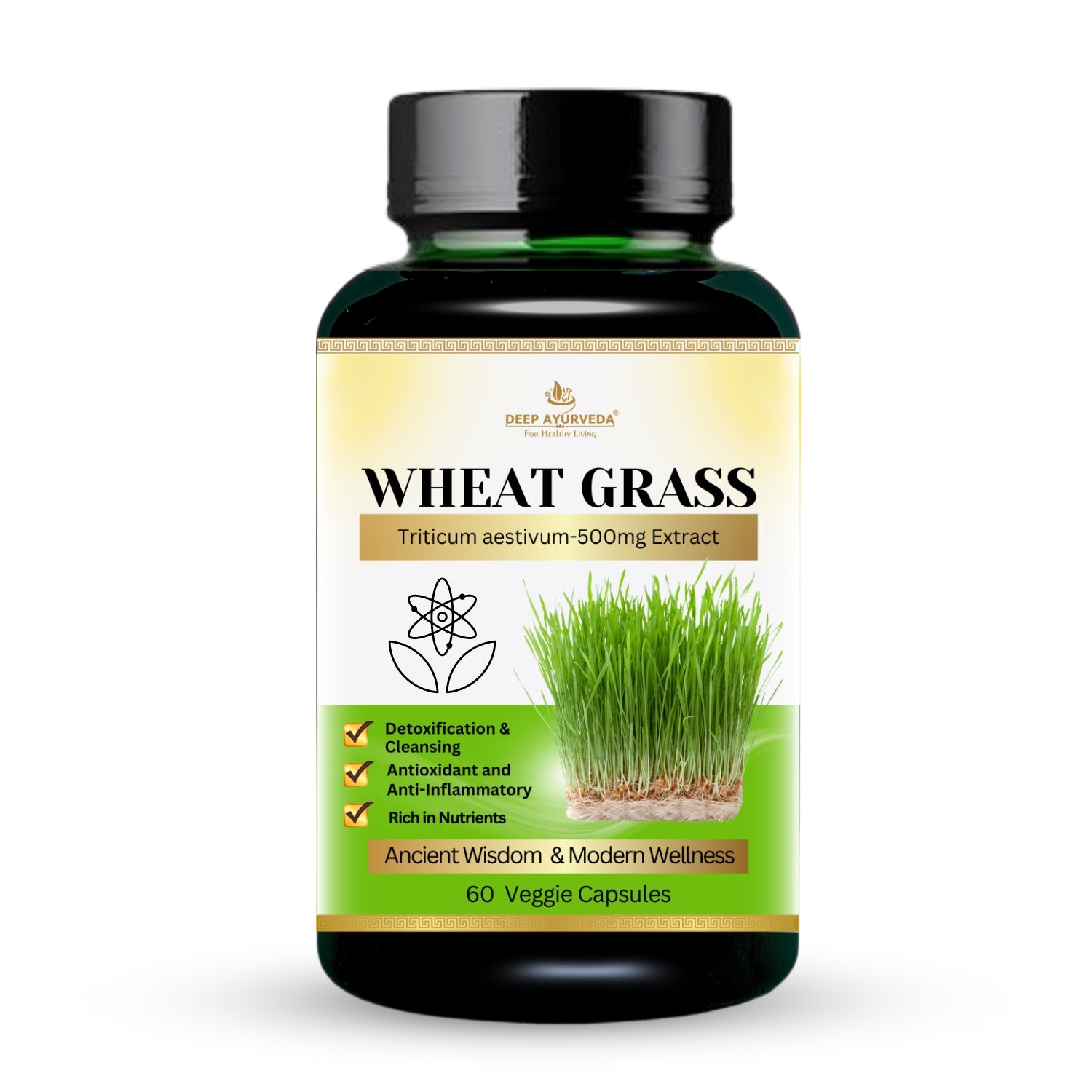 Wheatgrass Vegan Capsule 10 1 extract Rich in Vitamins Minerals an