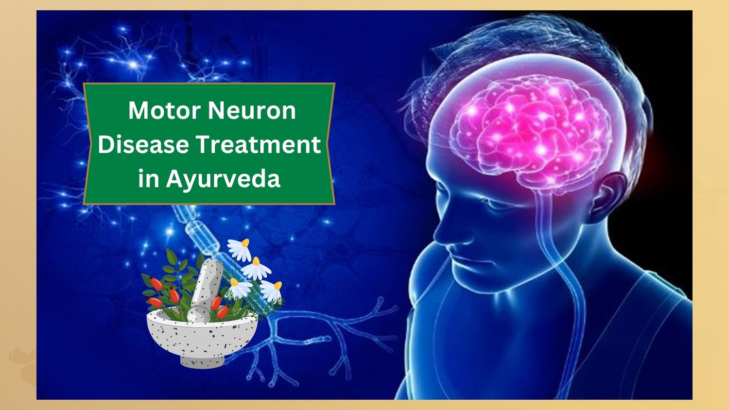 Motor Neuron Disease Mnd Symptoms And Treatment In Ayurveda