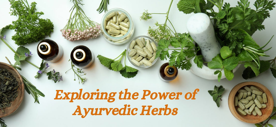 Ancient Wisdom for Modern Health: Exploring the Power of Ayurvedic Herbs