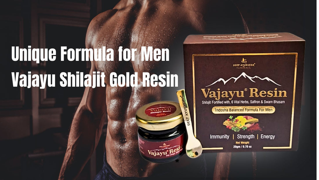 Vajayu shilajit resin for men