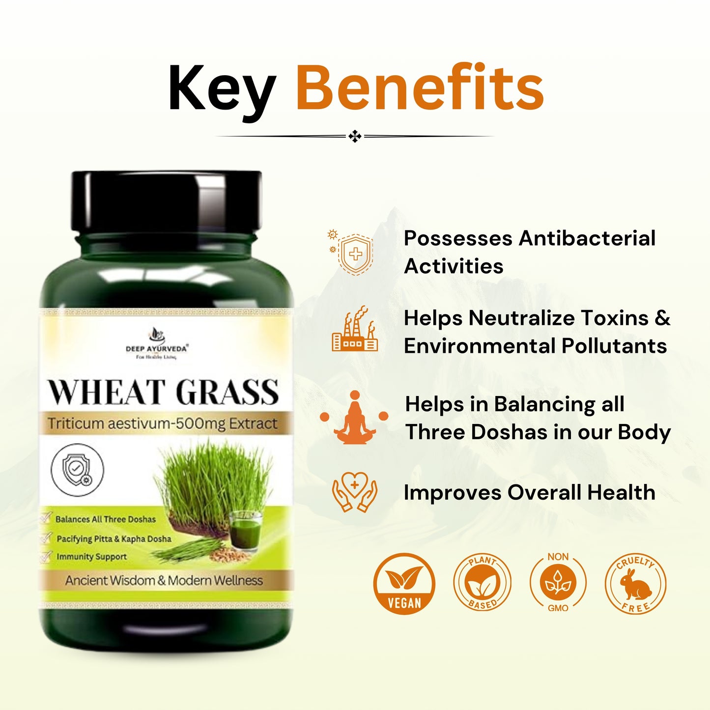 Wheatgrass Vegan Capsule 10:1 extract | Rich in Vitamins, Minerals, and Antioxidants | Immune Function & Enhance Energy Levels - Deep Ayurveda India