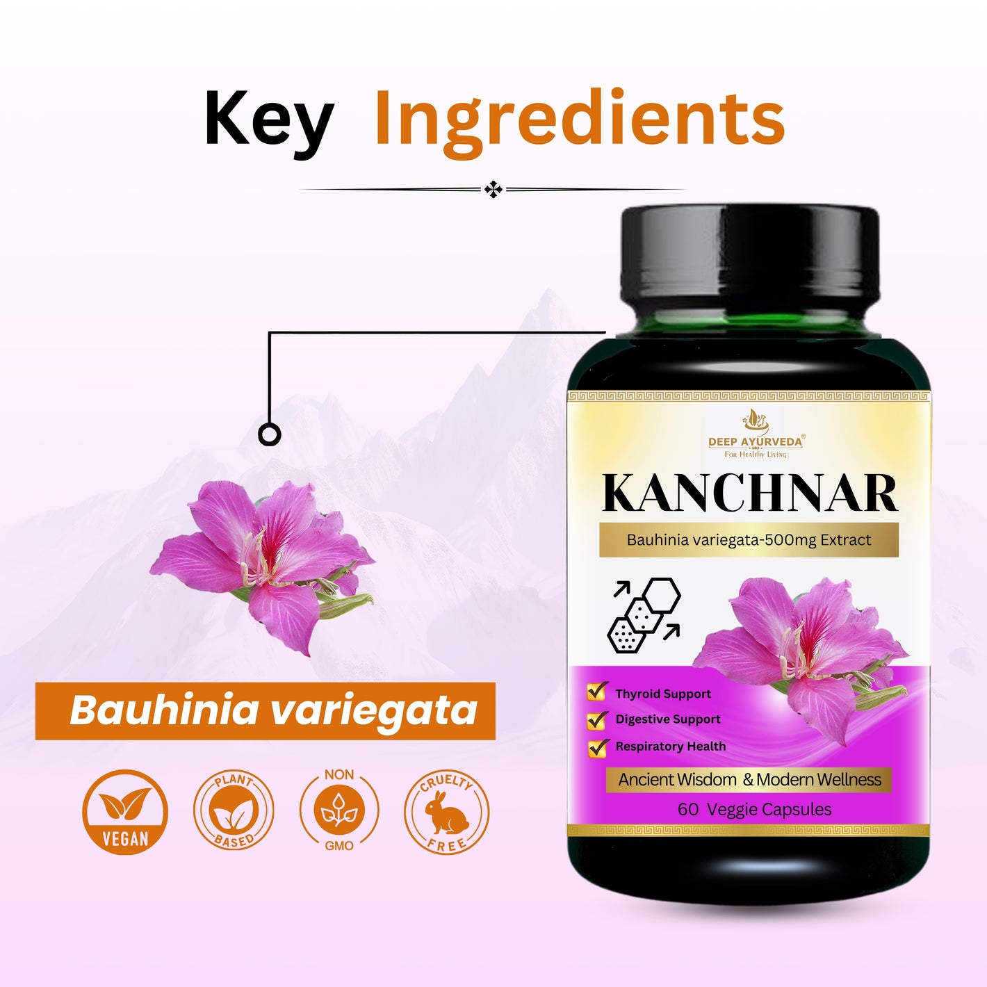 Kanchnar Vegan Capsule-500mg Extract of Bauhinia variegate |  Skin Care, Healthy Thyroid Function & Digestive Health - Deep Ayurveda India