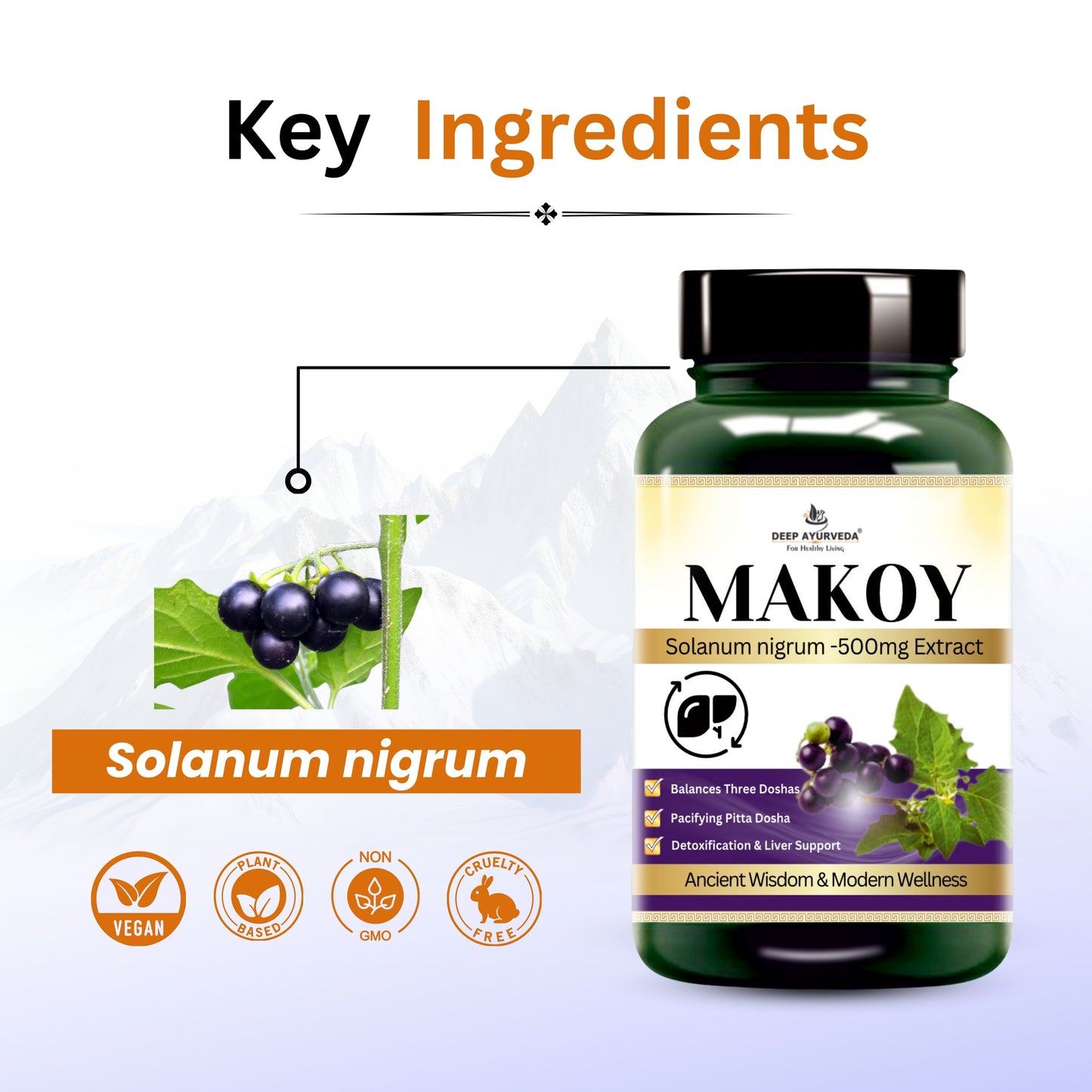 Makoy (Solanum nigrum) Vegan Capsule For Liver Health, Aid digestion, Improve Appetite and Detoxification - Deep Ayurveda India