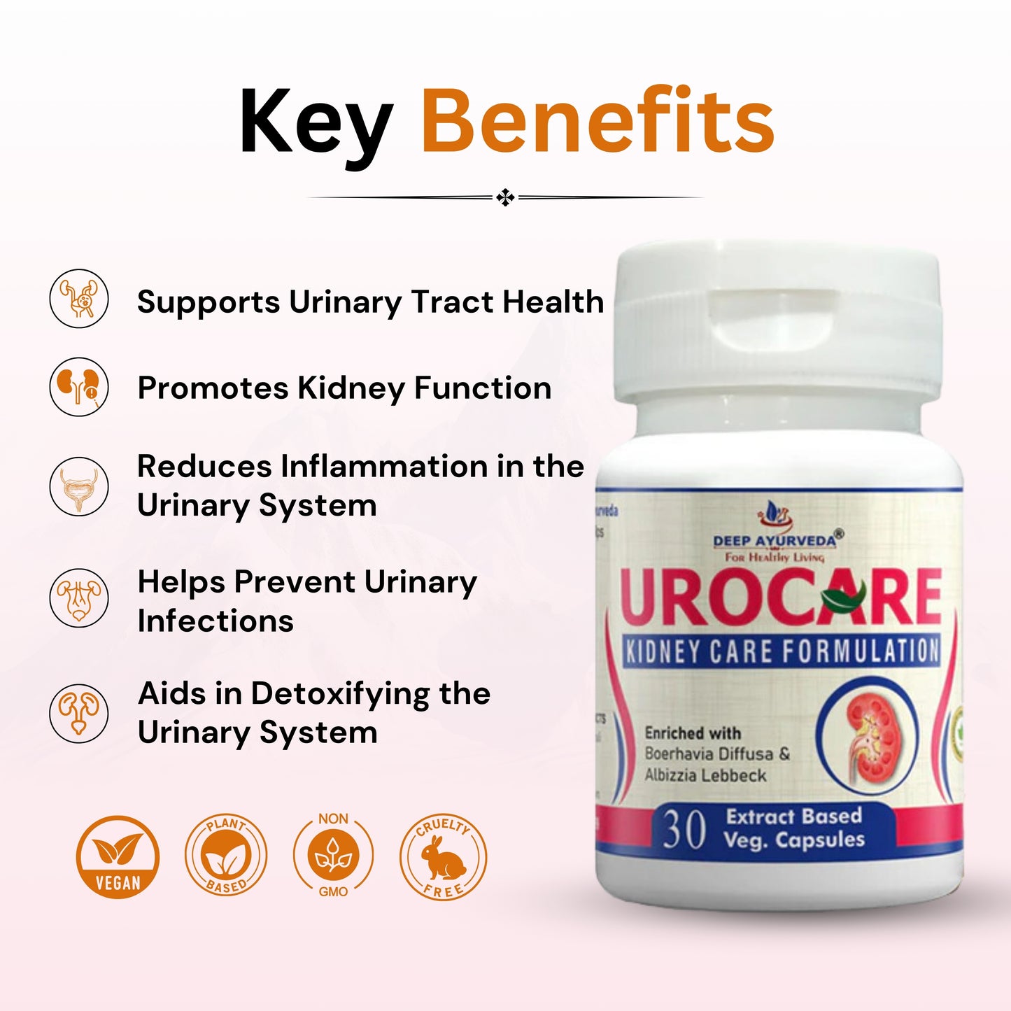 Urocare for Kidney  & Prostate Care-30 Vegan Capsule Pack - Deep Ayurveda India