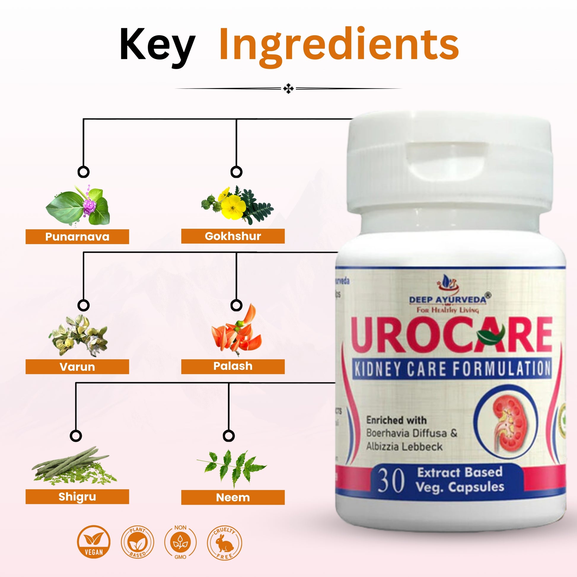 Urocare for Kidney  & Prostate Care-30 Vegan Capsule Pack - Deep Ayurveda India