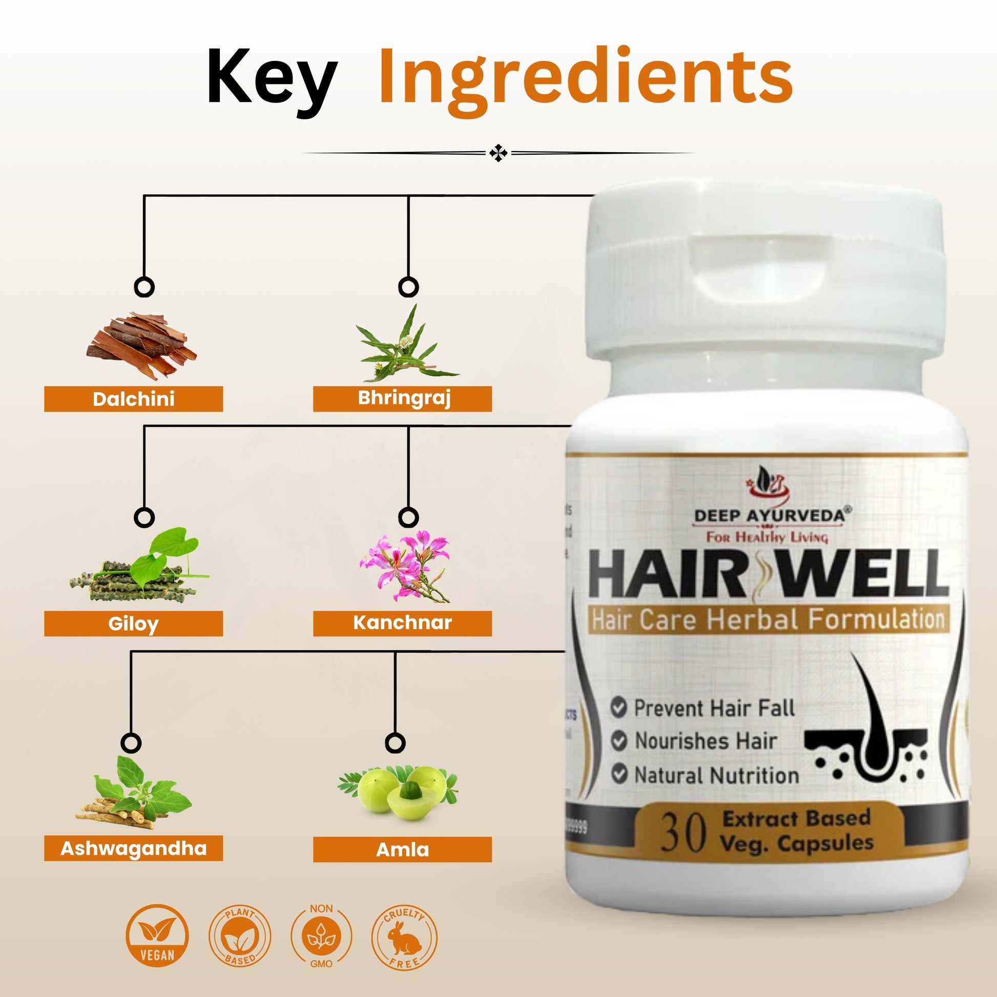 Hairwell | Vegan Capsule - Deep Ayurveda India