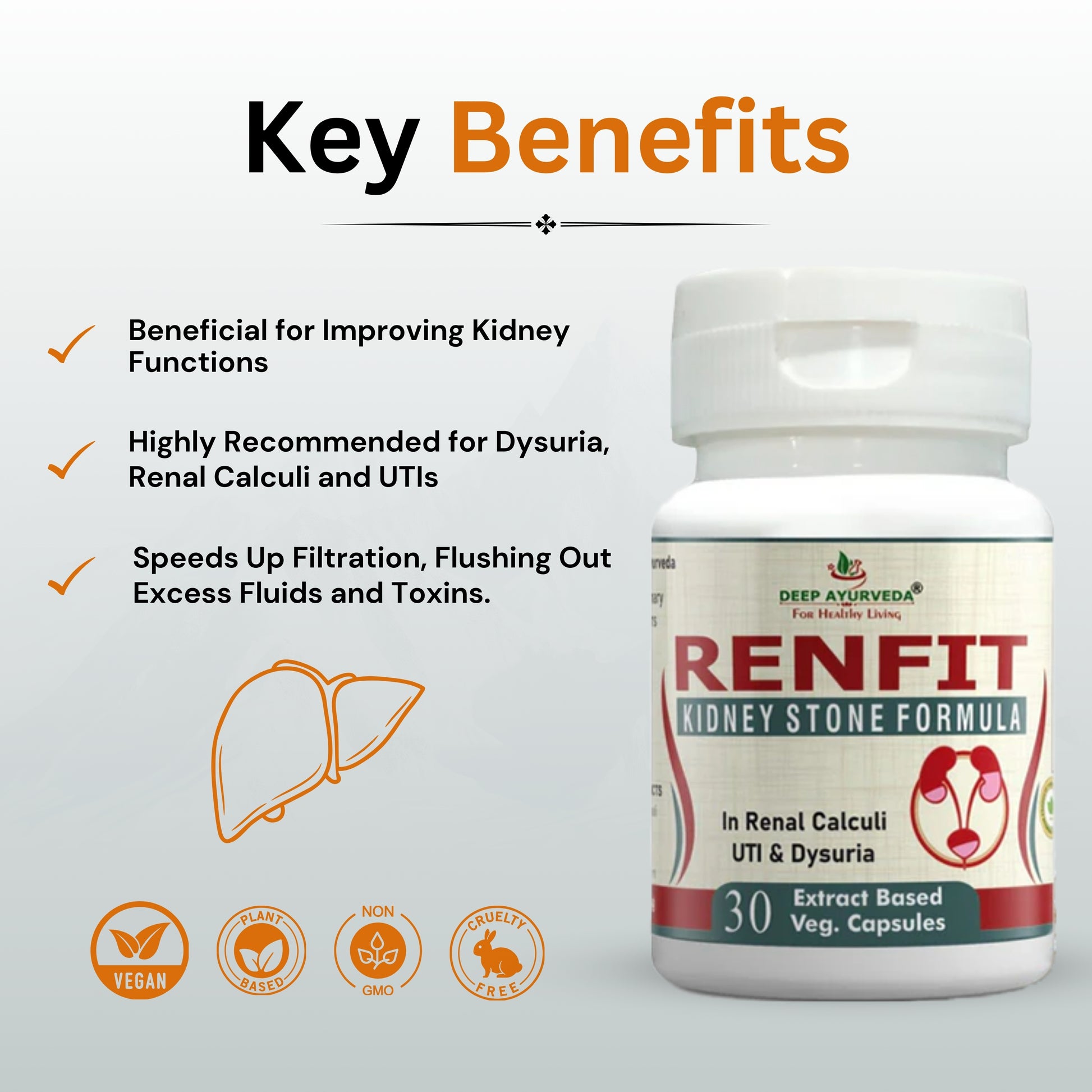 Renfit for Kidney Stone | Vegan Capsule - Deep Ayurveda India