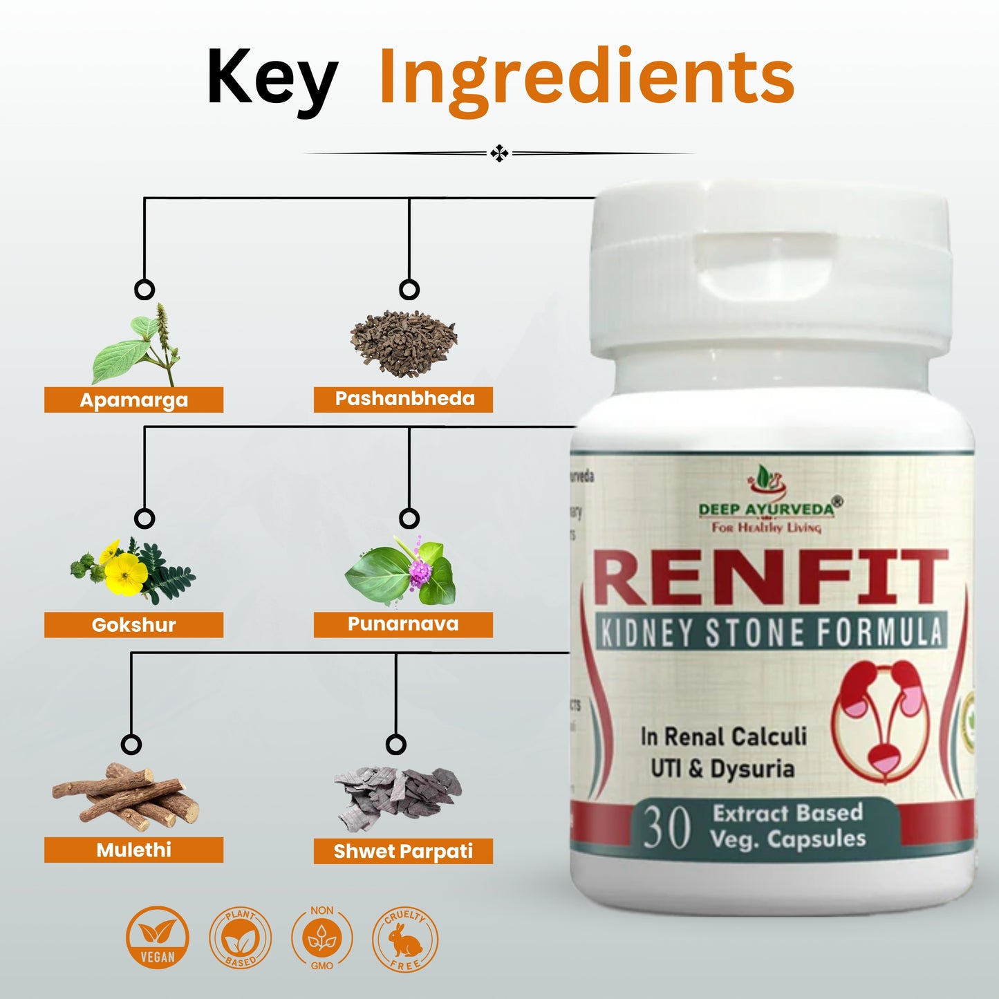 Renfit for Kidney Stone | Vegan Capsule - Deep Ayurveda India