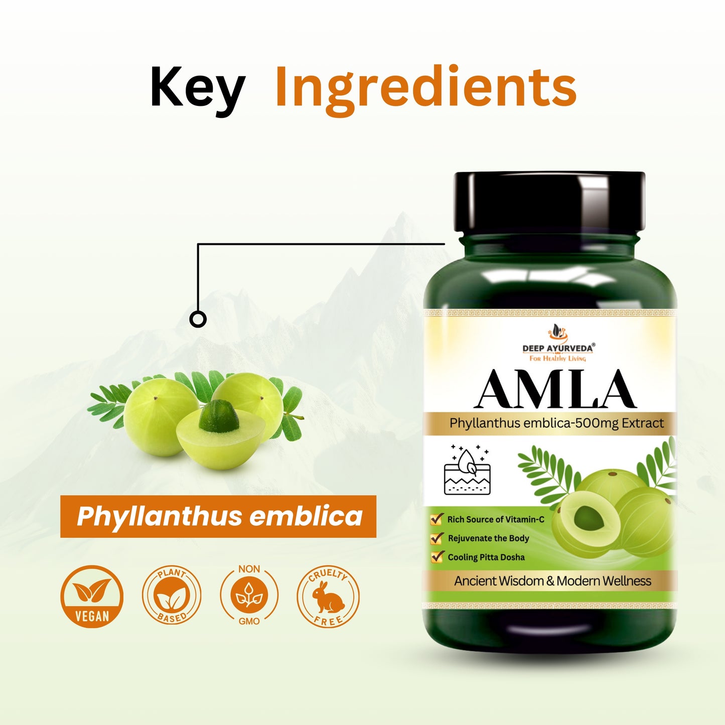 Amla (Emblica officinalis) Vegan Capsule made with 10:1 extract |  Rich vitamin C & Supports Immune Function - Deep Ayurveda India