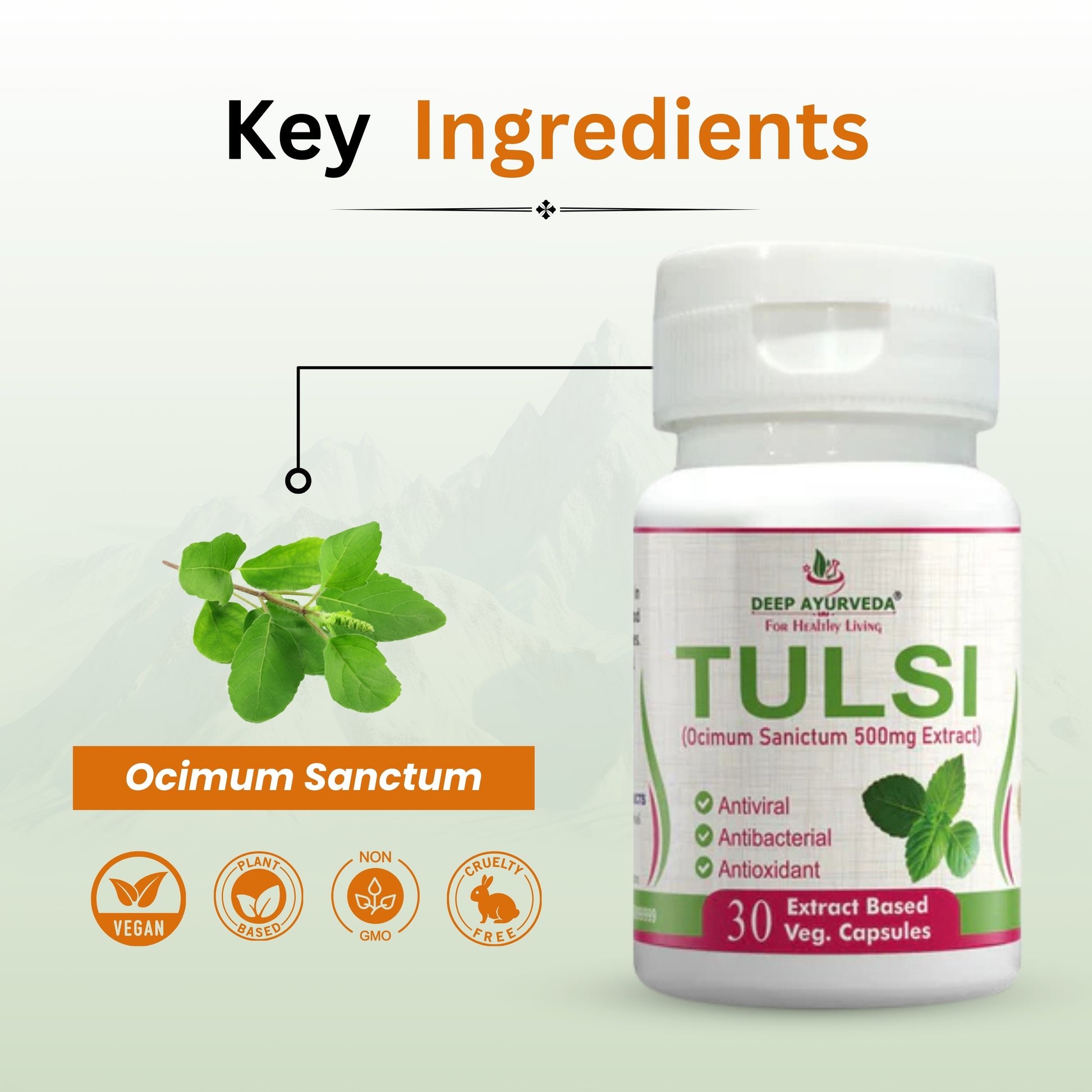 Tulsi  | Vegan Capsule - Deep Ayurveda India