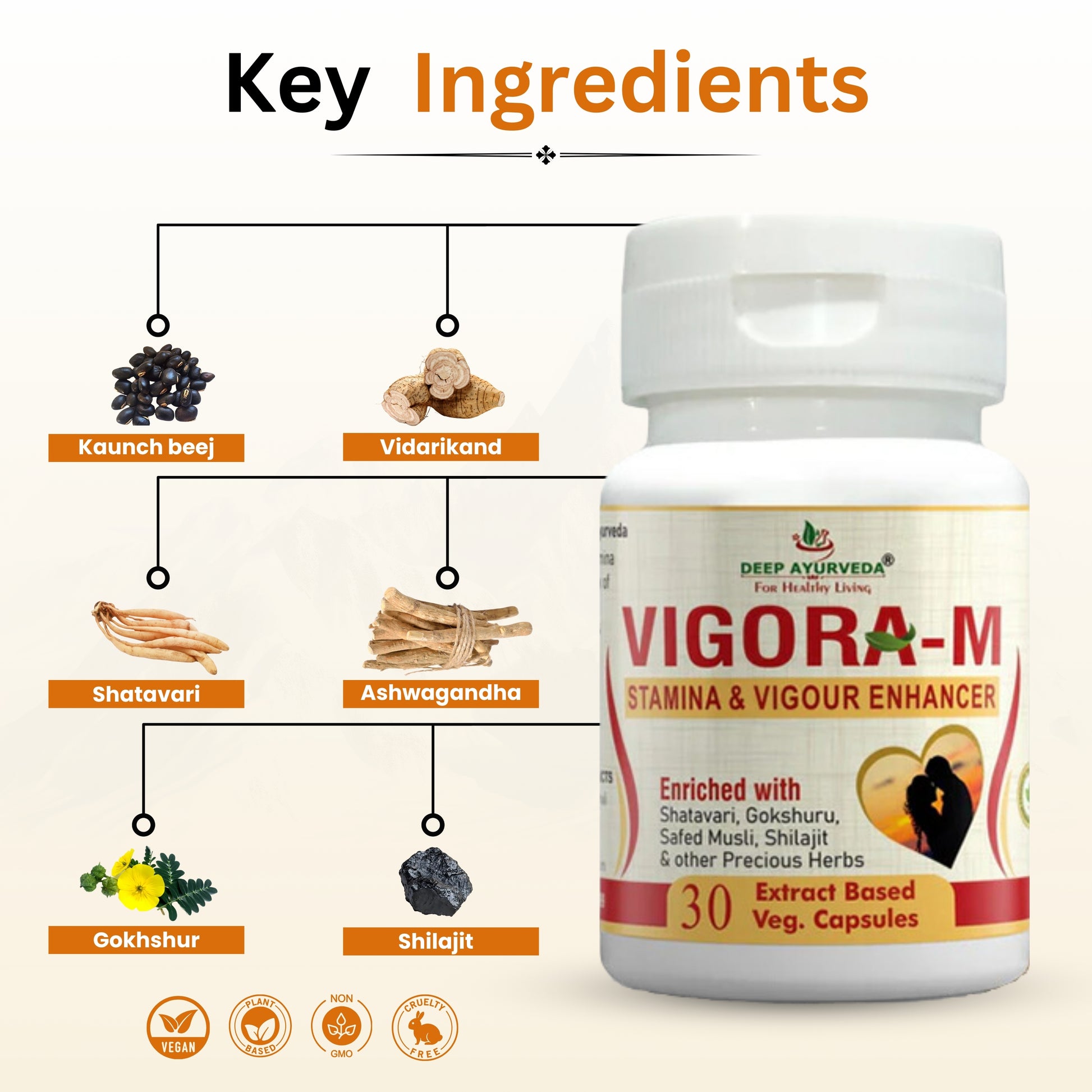 Vigo ra-M for Male Wellness | Stamina & Energy Booster Vegan Capsule - Deep Ayurveda India