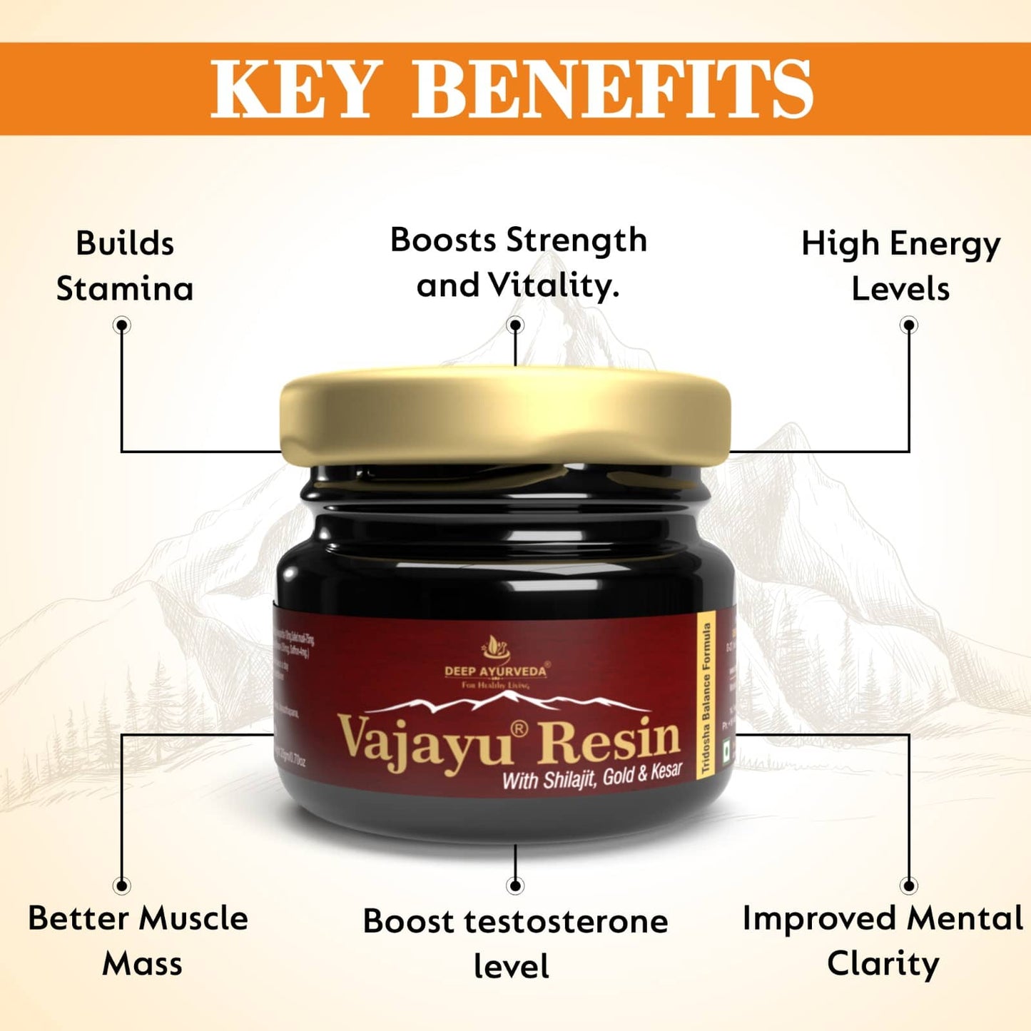 Vajayu® Shilajit Gold Resin+  With Gold & Kesar for Double Strength for Men's Vitality, Stamina & Energy-20gm Pack